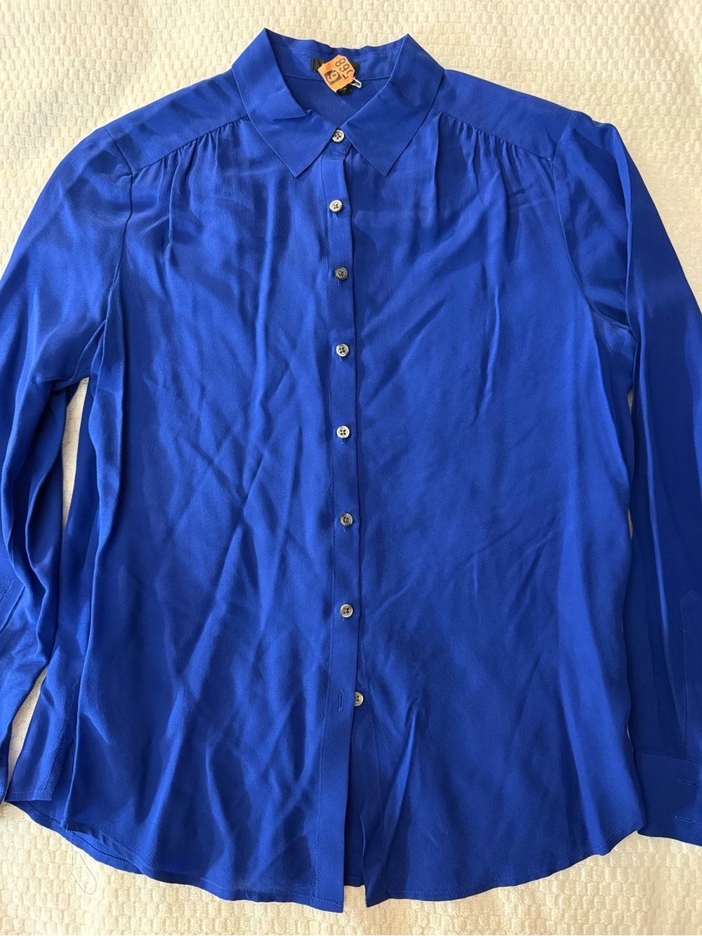 Ann Taylor Men's Button-Down Shirt in Vibrant Blue